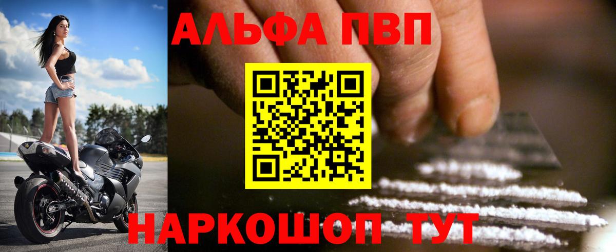 Alfa_PVP СК Краснознаменск