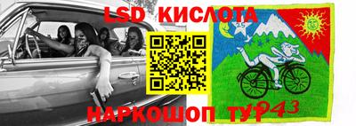 ПСИЛОЦИБИНОВЫЕ ГРИБЫ Ипатово